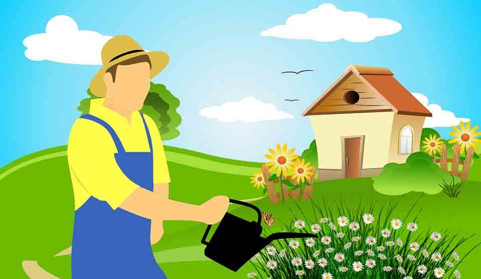 gardening at home