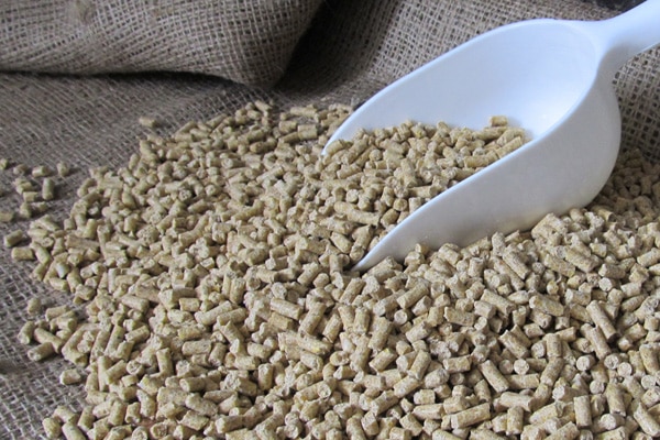 Asia Pacific Swine Feed Market