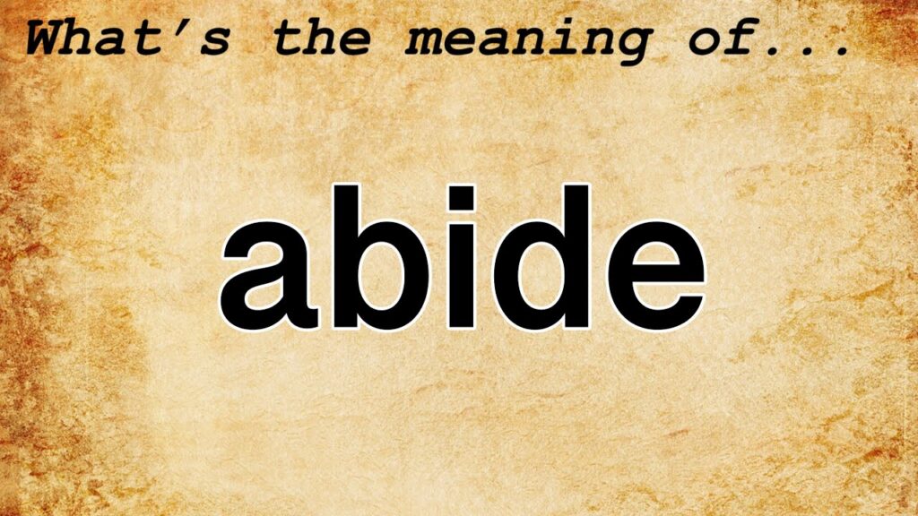 Abide By Meaning
