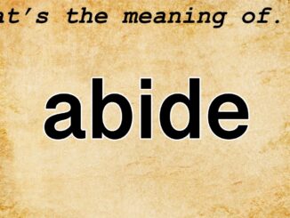 Abide By Meaning