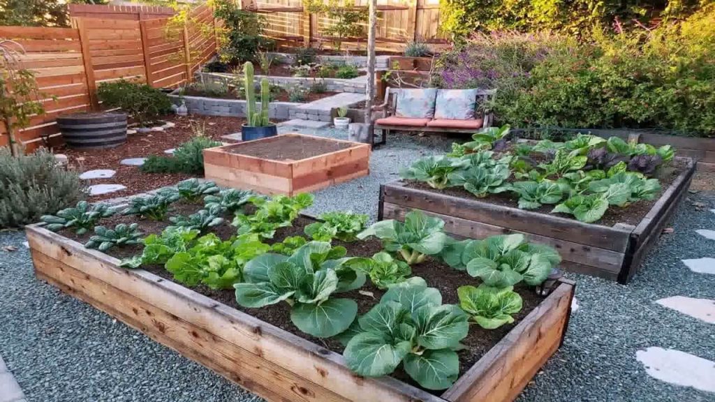 Raised Garden Bed