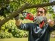 Pruning